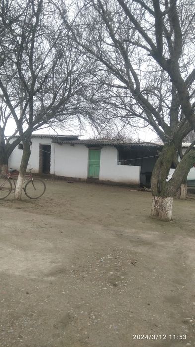 Уй сотилади. Бука туман Бука МФЙ