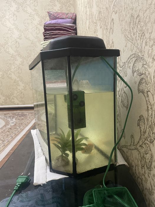 аквариум 25 литров