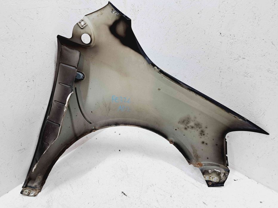 Aripa stanga fata Volkswagen Polo (9N) [Fabr 2001-2008] L041