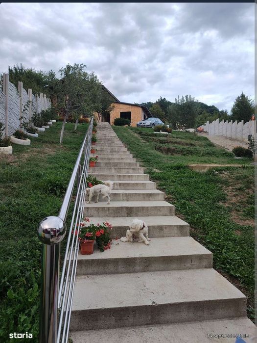 Vând casa in Dăești, Valcea