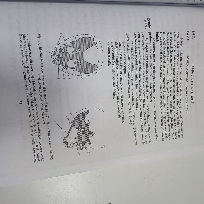 Aparatul dentomaxilar gheorghe boboc