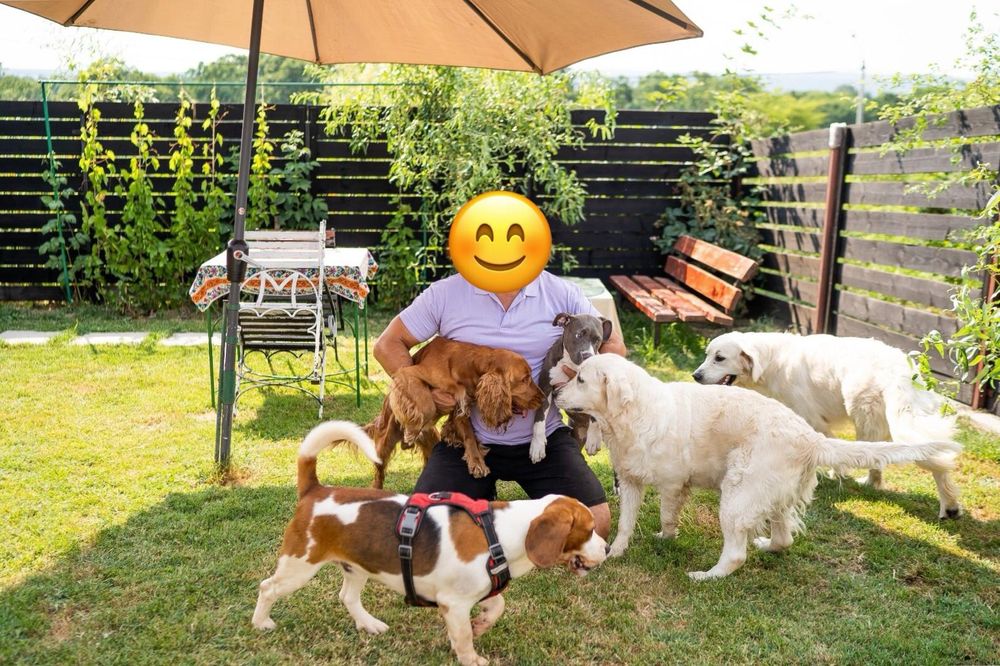 Pensiune Canina ,Pisicuțe și orice animalul de companie "HOME"