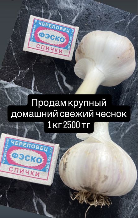 Продам чеснок домашний