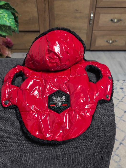 Кучешко яке - Gucci