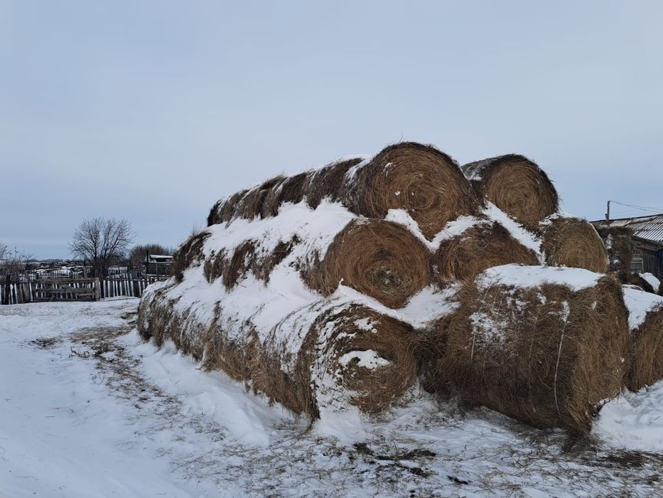 Продам сено в тюках