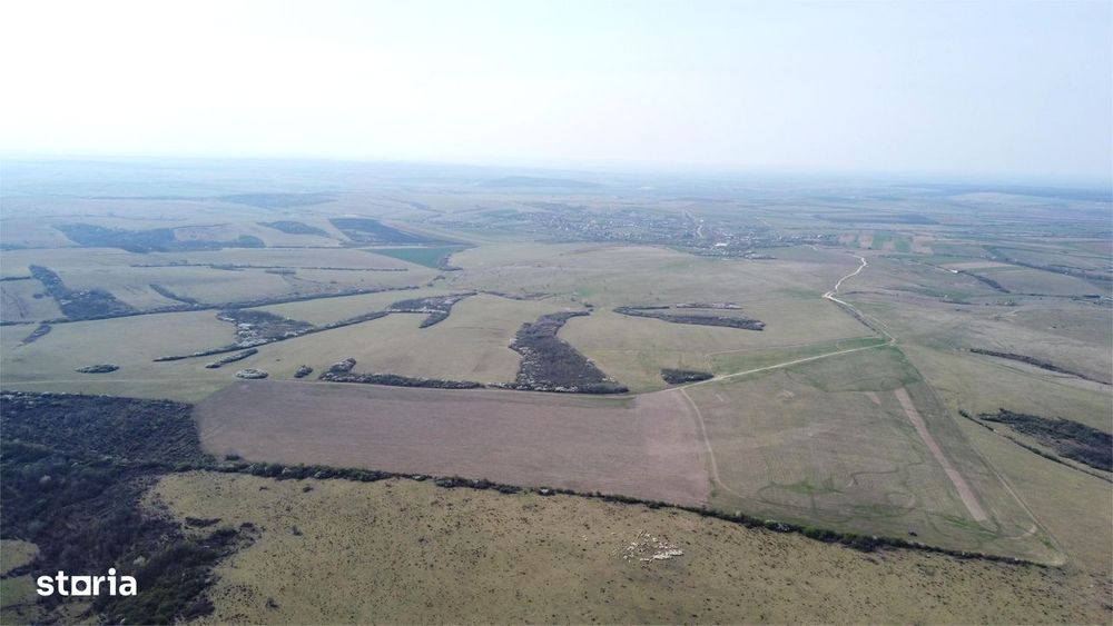 Teren 26.82 ha Ardud | Oportunitate pentru dezvoltare