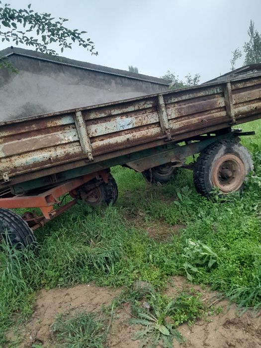 Holati alo tilichka alohida