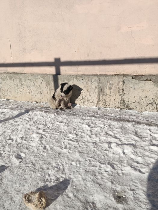 СРОЧНО!!! Срочно!