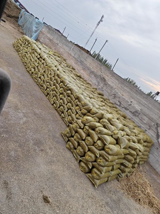 Makka silos optim