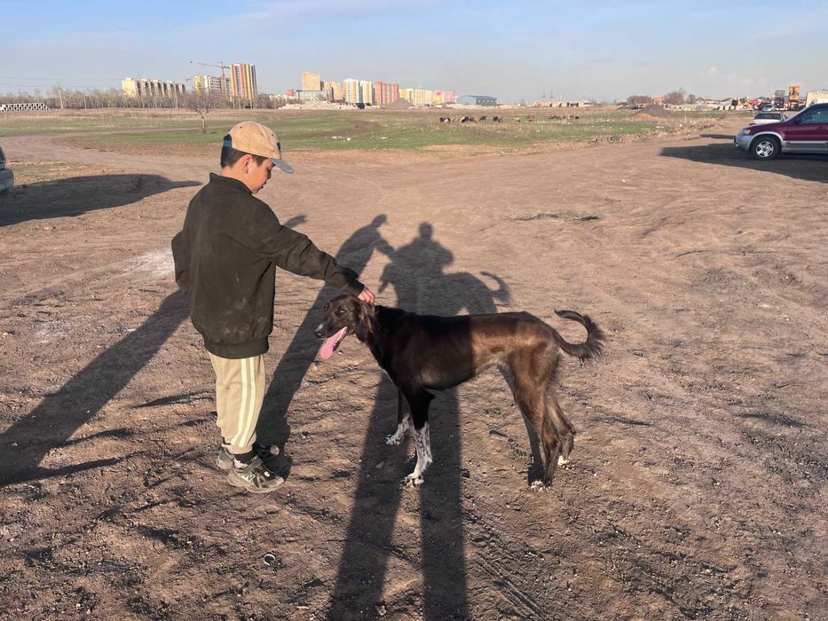 Тазы қаншық ауызданған