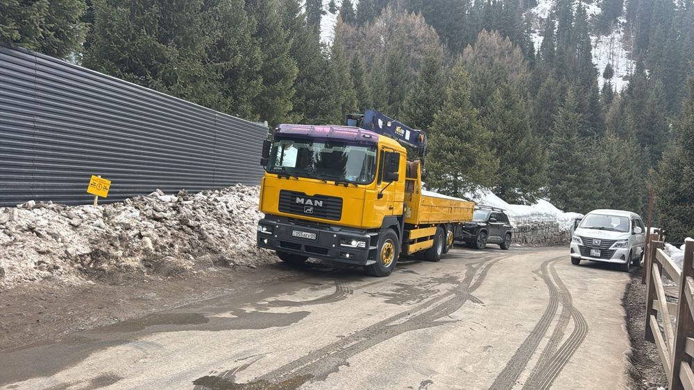 Услуги монипулятора