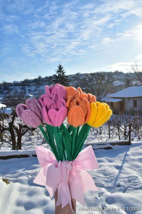 Ръчно платени лалета