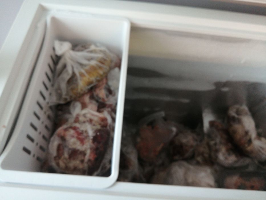 Продам морозильную камеру