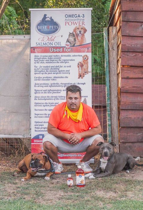 Dresaj canin Bucuresti si Ilfov