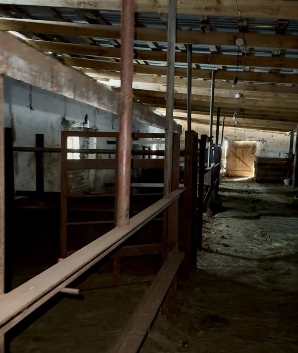 Продам животноводческое хозяйство