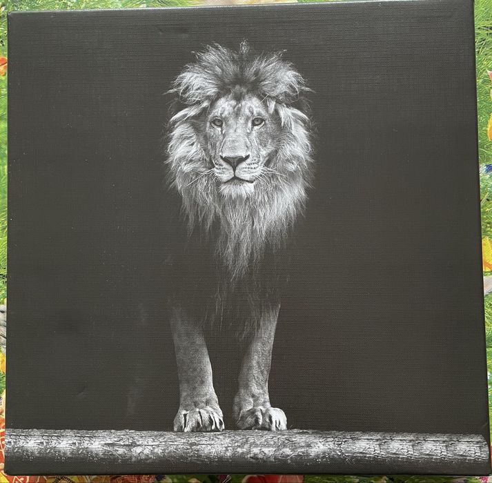 Tablou decorativ cu Leu