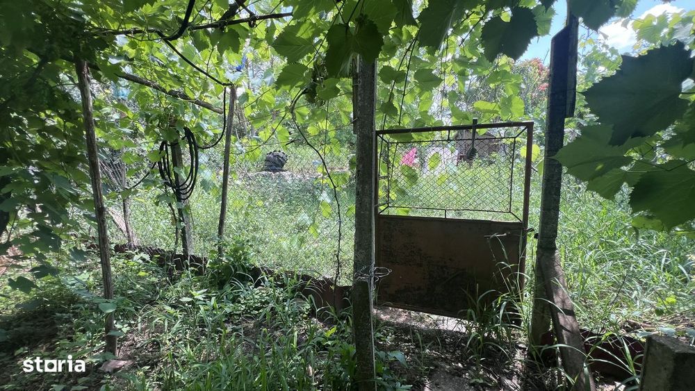 Comision 0% - Casa 4 Camere Olteni, com. Independenta – 2900 mp teren