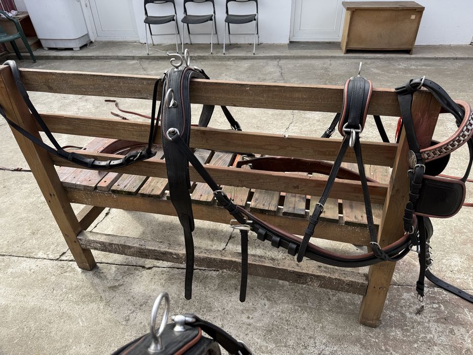 Vand doua hamuri complete de maraton/trasura!