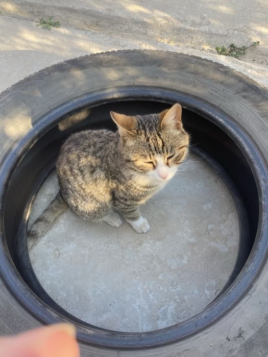 Колесо michelin 235/60R18