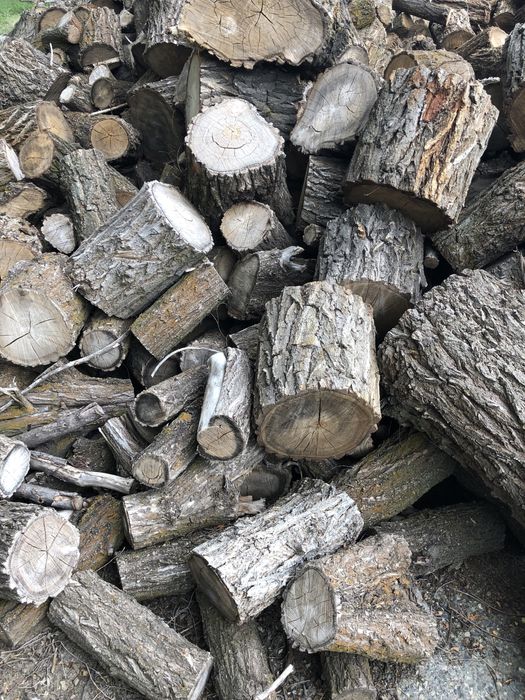 продам сухие дрова карагач
