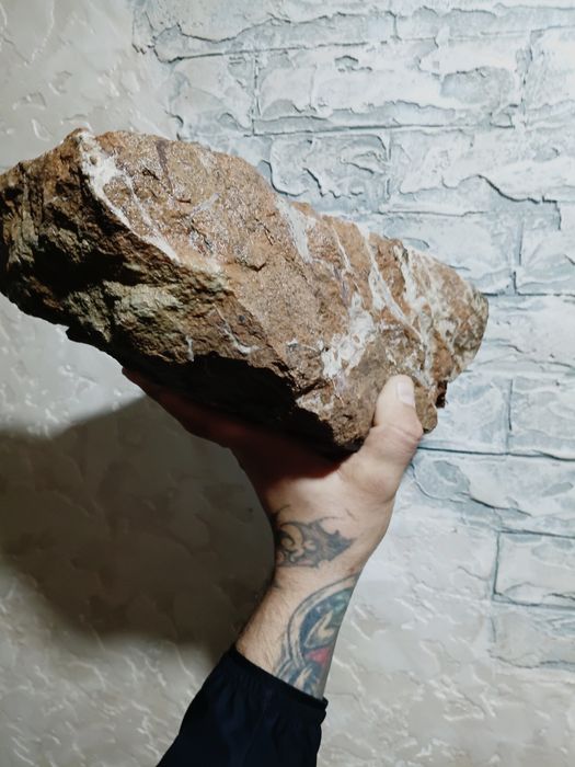 Аквариумные плитняки