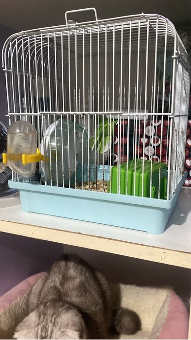 Продам срочно клетки