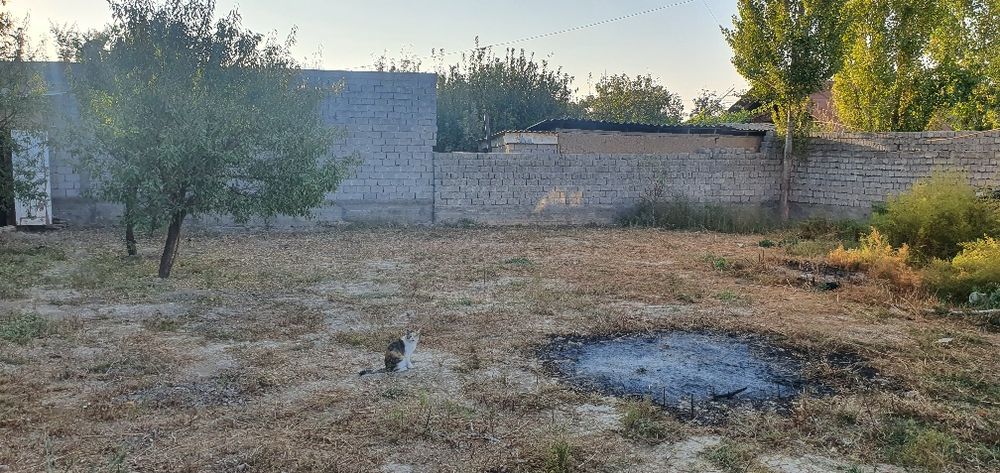 Ок тошда 3-сутиг ер сотилади тоза хаво тоза худуд