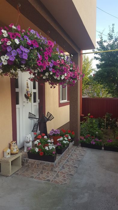 Vand vilă zona Zamca