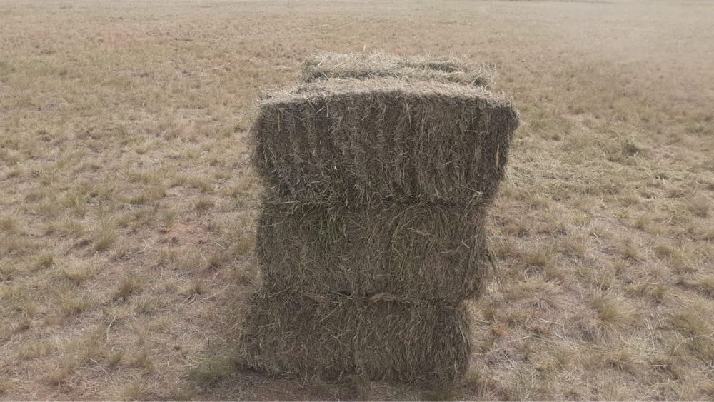 Продаю сено с доставкой.