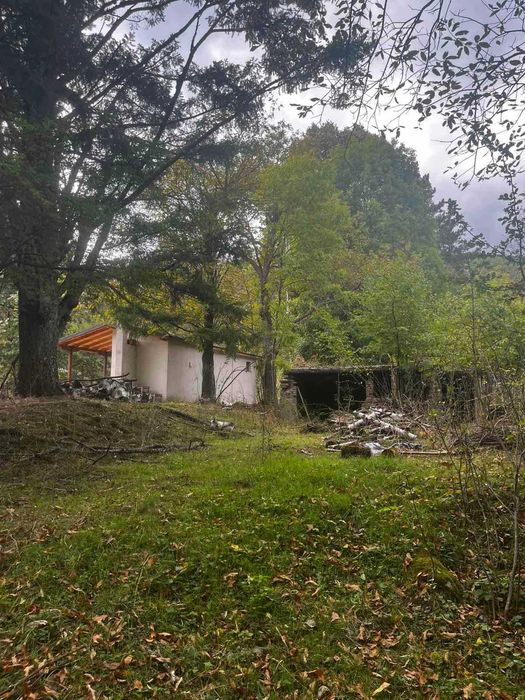 Продава се Парцел в Пловдив, Кършияка - 3000 кв.м за 110 €/кв.м - Снимка #4