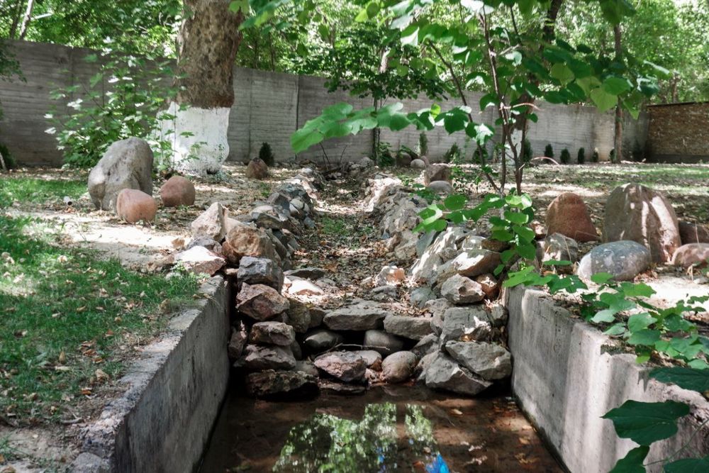 Срочно Продаётся Дача-роща! 100 соток! Чирчик