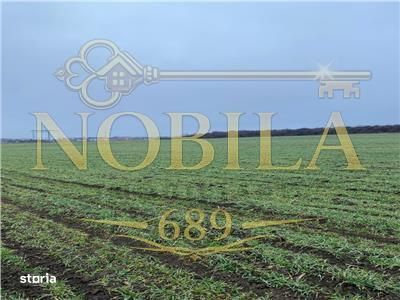 Teren Intravilan 28.000 mp în One?ti – pentru Investi?ii Industri