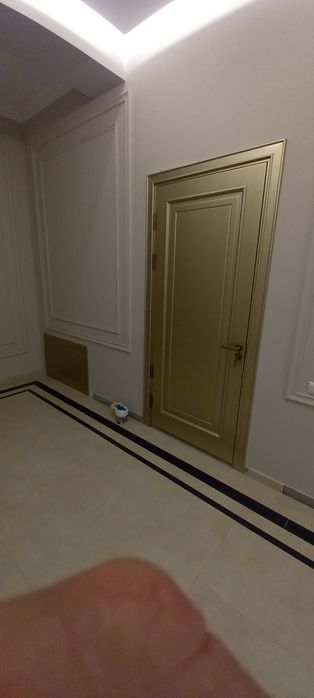 Межкомнатные двери МДФ ШПОН крашеные под заказ,  любые размеры