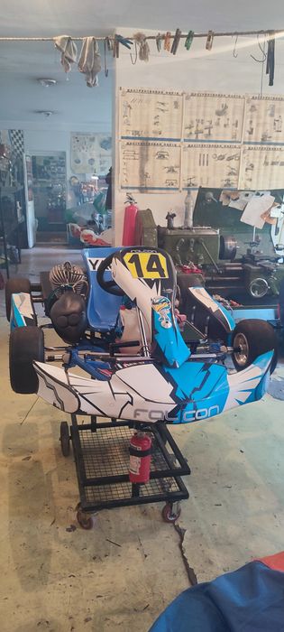 Картинг профессиональный