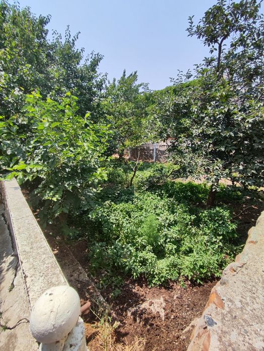 Jizzax viloyati Zomin shaxri markazidan 16 sotixli dalaxovli.