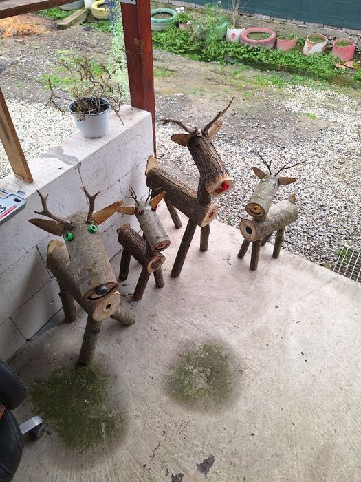 Casa si gradina superbe