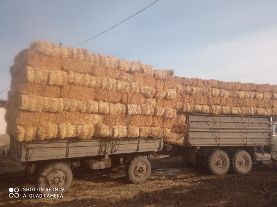 Зил 131 вездеход