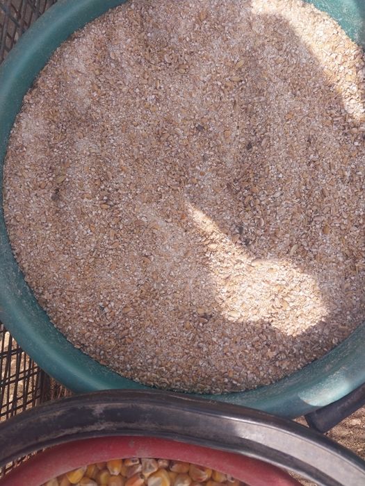 Жес арпа бидай отруби