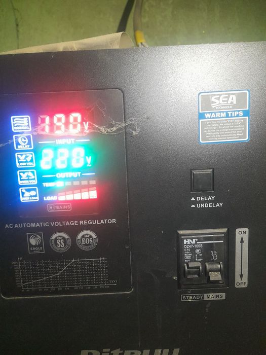 Pitbul сталибезатир