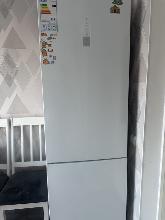 Холодильник Blesk