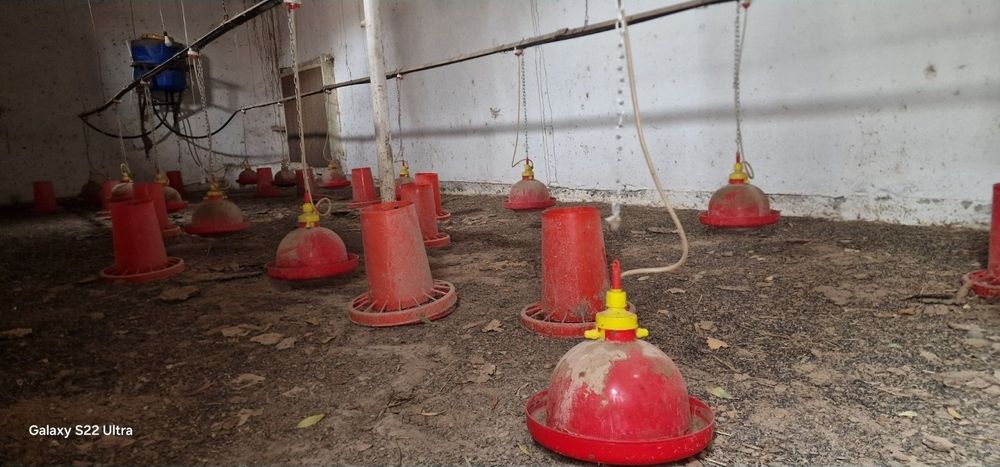 Do'mboq jo'ja boqish uchun tayor uskunalar srochna sotiladi