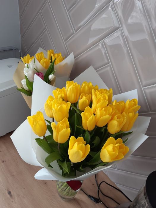 Тюльпаны оптом от 420
