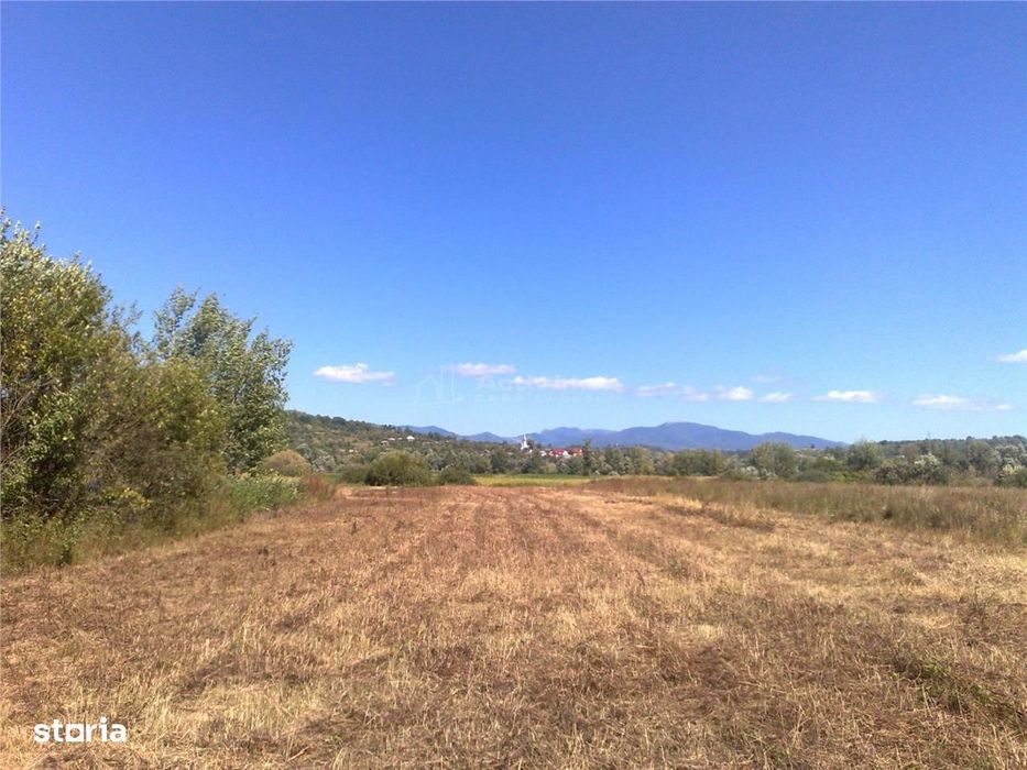 De Vanzare | Teren intravilan 55 Ari | Sacalaseni strada principala