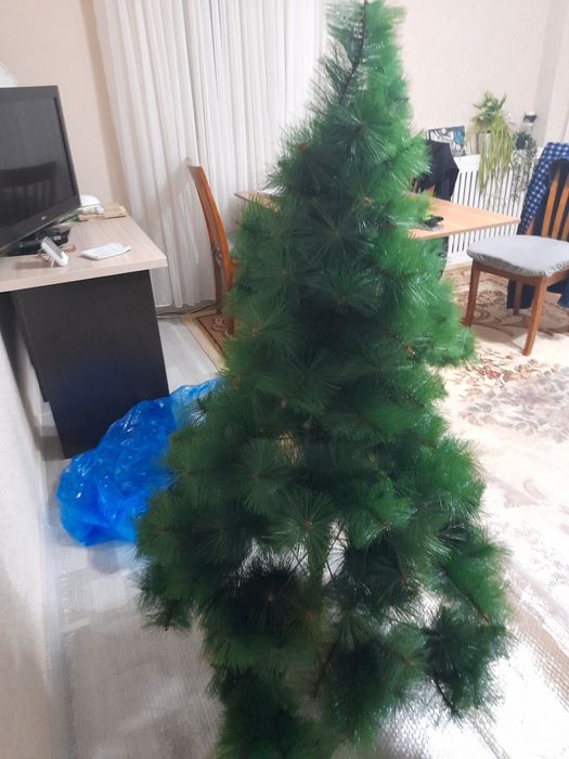 Елка в отличном состоянии