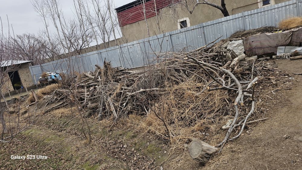 Утин тарашалар сотилади