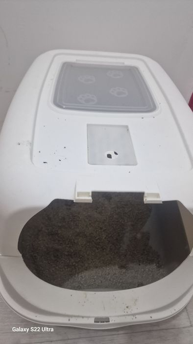 Манчкин 2годика с