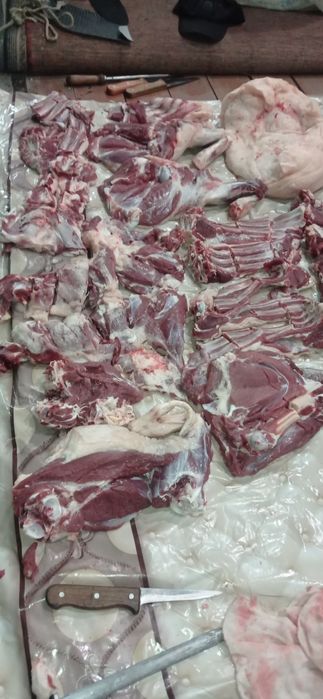 Qssob Qassobchilik qurbolu