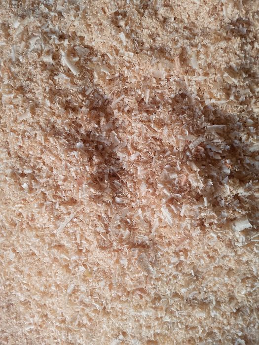 Апилка майда йирик