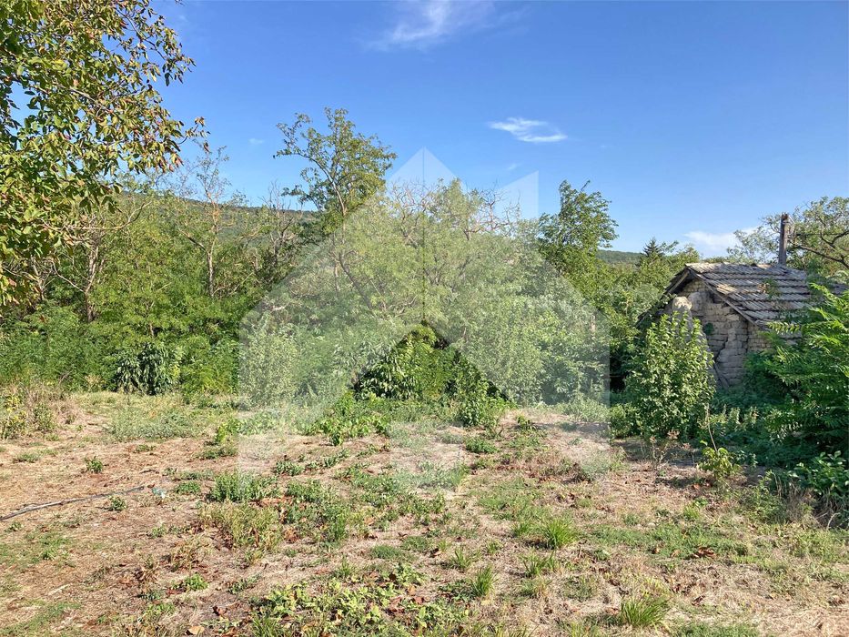 Продава се Парцел в с. Стан, Област Шумен - 1553 кв.м за 11 €/кв.м - Снимка #1