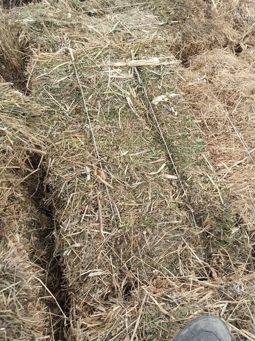 Ot sotiladi aralash hammasidan